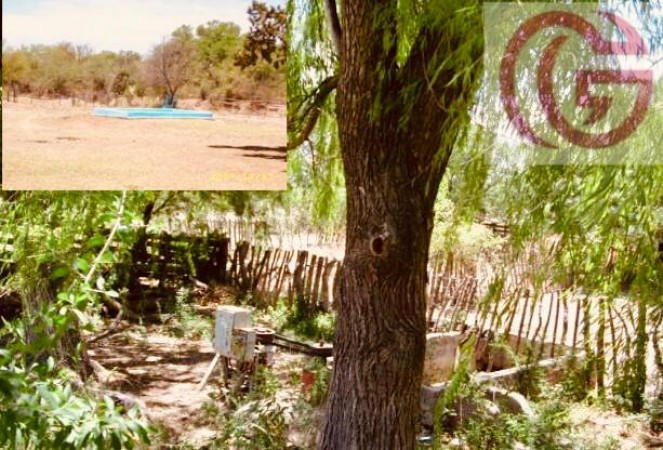 GREENWOOD VENDE FINCA EN Valle Fertil San Juan