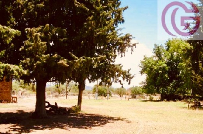 GREENWOOD VENDE FINCA EN Valle Fertil San Juan