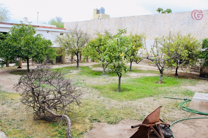 GREENWOOD VENDE IMPONENTE PROPIEDAD EN GODOY CRUZ CON 1290m2 DE TERRENO Y DOS CASAS, CUBIERTOS 558m2.
