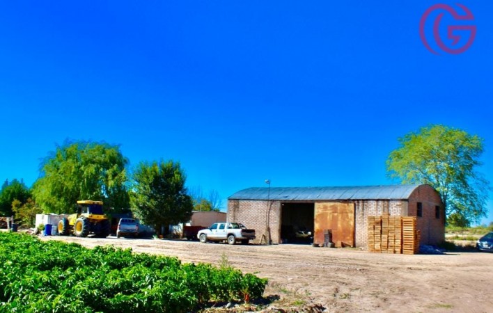 GREENWOOD VENDE FINCA DE 15HA. EN UGARTECHE, UBICACION PRIVILEGIADA