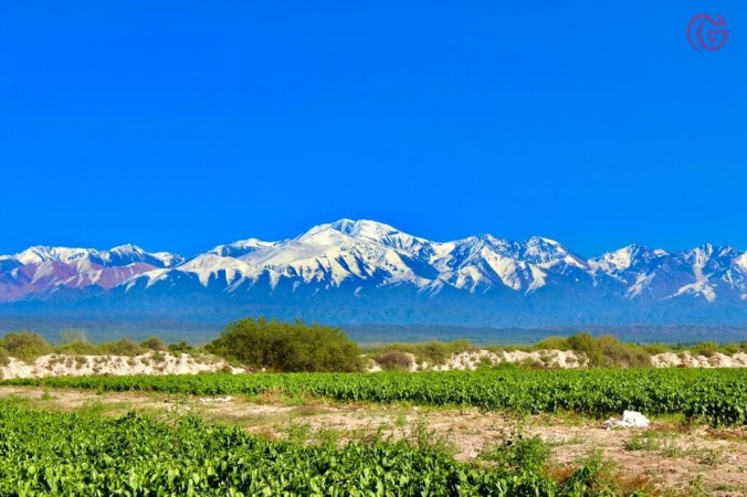 GREENWOOD VENDE FINCA DE 15HA. EN UGARTECHE, UBICACION PRIVILEGIADA