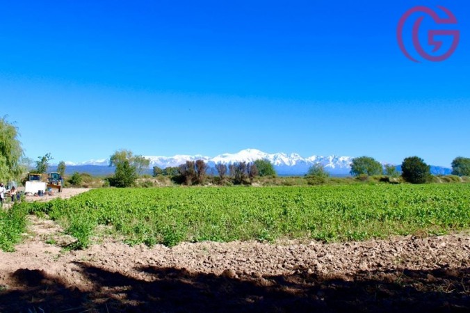 GREENWOOD VENDE FINCA DE 15HA. EN UGARTECHE, UBICACION PRIVILEGIADA