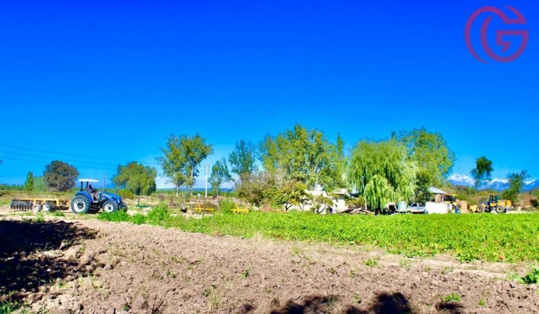 GREENWOOD VENDE FINCA DE 15HA. EN UGARTECHE, UBICACION PRIVILEGIADA