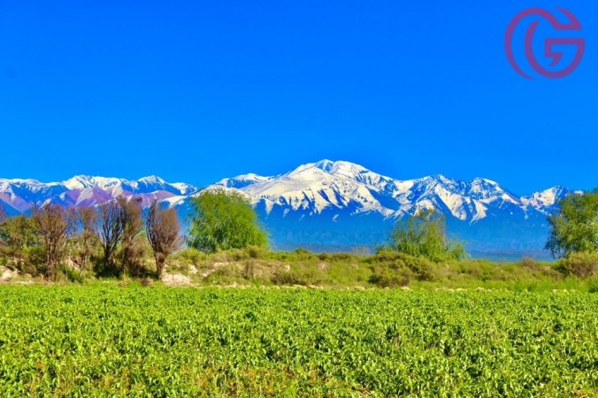 GREENWOOD VENDE FINCA DE 15HA. EN UGARTECHE, UBICACION PRIVILEGIADA