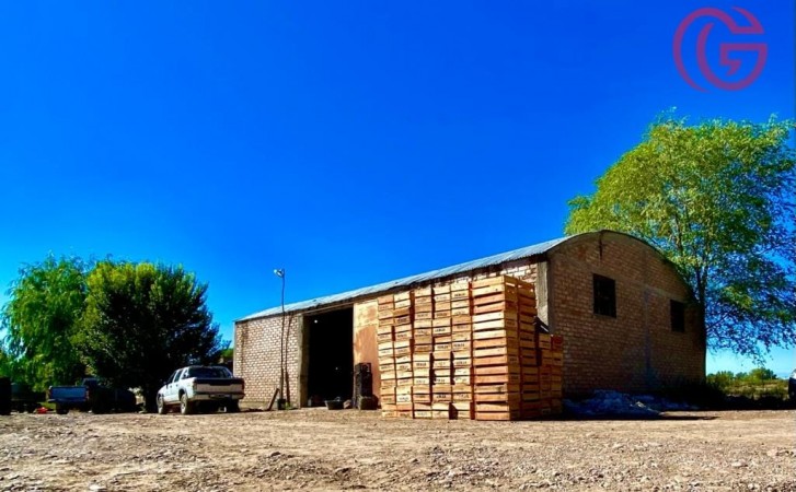 GREENWOOD VENDE FINCA DE 15HA. EN UGARTECHE, UBICACION PRIVILEGIADA