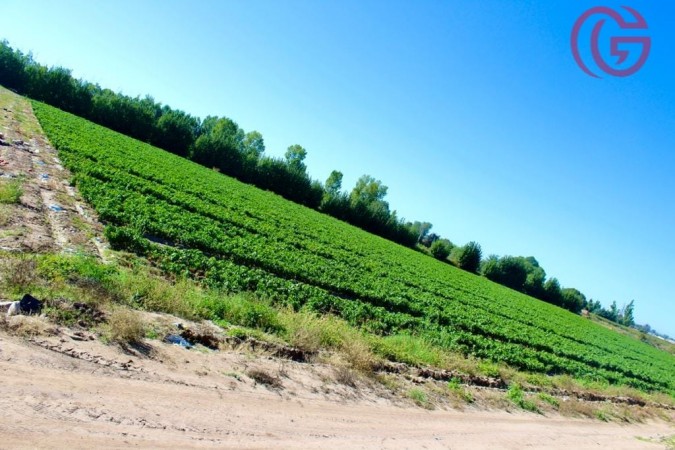 GREENWOOD VENDE FINCA DE 15HA. EN UGARTECHE, UBICACION PRIVILEGIADA