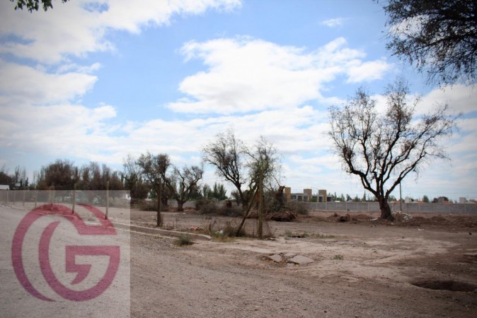 GREENWOOD VENDE ULTIMOS 5 LOTES A METROS DE ACCESO SUR Y AZCUENAGA