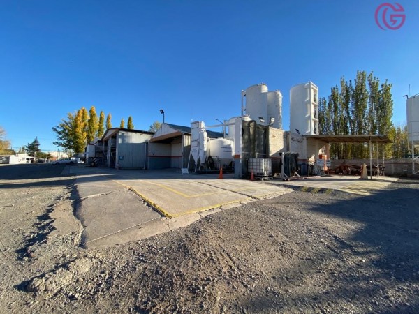 GREENWOOD VENDE BASE DE OPERACIONES, EDIFICACIONES Y GRAN TERRENO EN MALARGUE (CENTRO).