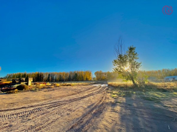 GREENWOOD VENDE GRAN TERRENO EN MALARGUE (CENTRO).