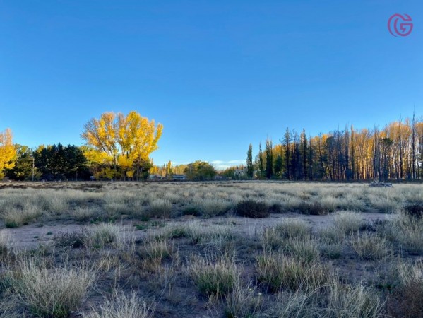 GREENWOOD VENDE GRAN TERRENO EN MALARGUE (CENTRO).