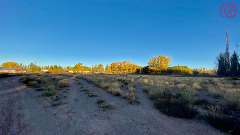 GREENWOOD VENDE GRAN TERRENO EN MALARGUE (CENTRO).