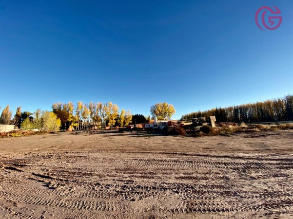 GREENWOOD VENDE GRAN TERRENO EN MALARGUE (CENTRO).