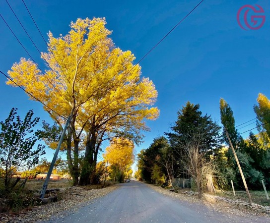 GREENWOOD VENDE GRAN TERRENO EN MALARGUE (CENTRO).