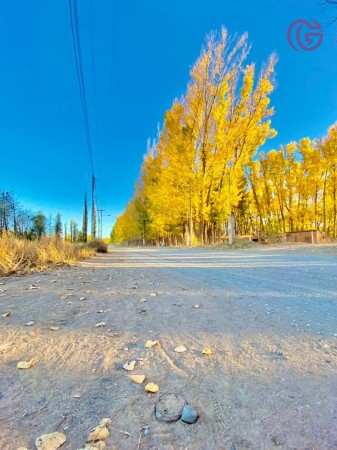 GREENWOOD VENDE GRAN TERRENO EN MALARGUE (CENTRO).