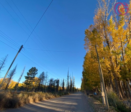 GREENWOOD VENDE GRAN TERRENO EN MALARGUE (CENTRO).