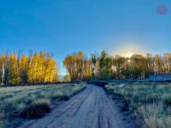 GREENWOOD VENDE GRAN TERRENO EN MALARGUE (CENTRO).