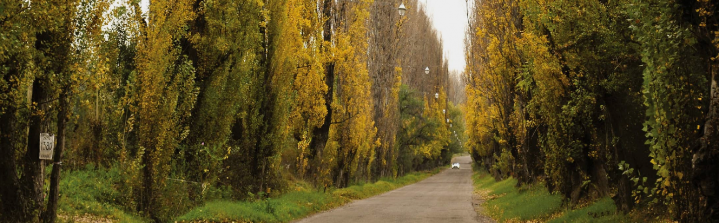 GREENWOOD VENDE LOTES EN EL DISTINGUIDO BARRIO PINAR VISTALBA