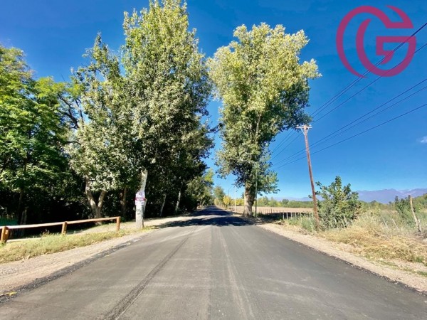 GREENWOOD VENDE EXCELENTE PROPIEDAD IDEAL PARA EMPRENDIMIENTO EN EL HERMOSO VALLE DE UCO, TUNUYAN