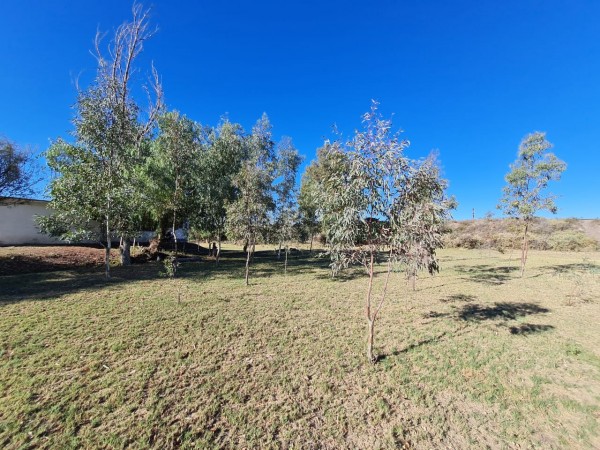 GREENWOOD VENDE CASA CON IMPORTANTE LOTE EN SAN ROQUE, MAIPU