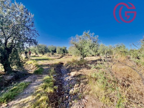 GREENWOOD VENDE FINCA CON POTENCIAL