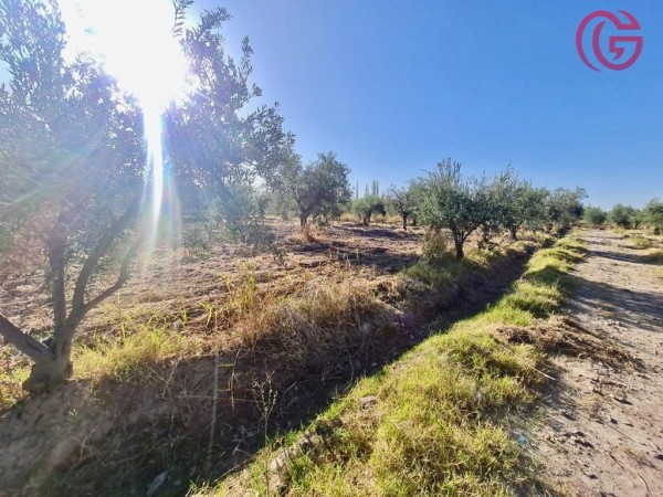 GREENWOOD VENDE FINCA CON POTENCIAL
