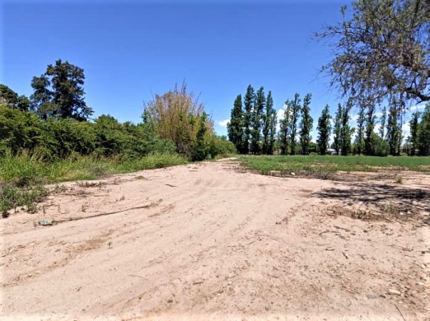 GREENWOOD VENDE LOTE DE GENEROSAS DIMENSIONES EN INMEJORABLE UBICACION, ZONA CAMINOS DEL VINO