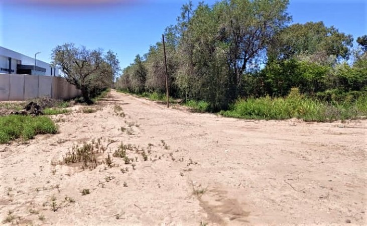 GREENWOOD VENDE LOTE DE GENEROSAS DIMENSIONES EN INMEJORABLE UBICACION, ZONA CAMINOS DEL VINO