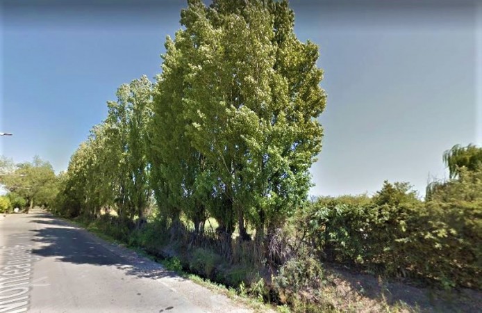 GREENWOOD VENDE LOTE DE GENEROSAS DIMENSIONES EN INMEJORABLE UBICACION, ZONA CAMINOS DEL VINO