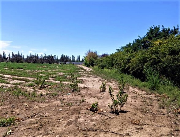 GREENWOOD VENDE LOTE DE GENEROSAS DIMENSIONES EN INMEJORABLE UBICACION, ZONA CAMINOS DEL VINO