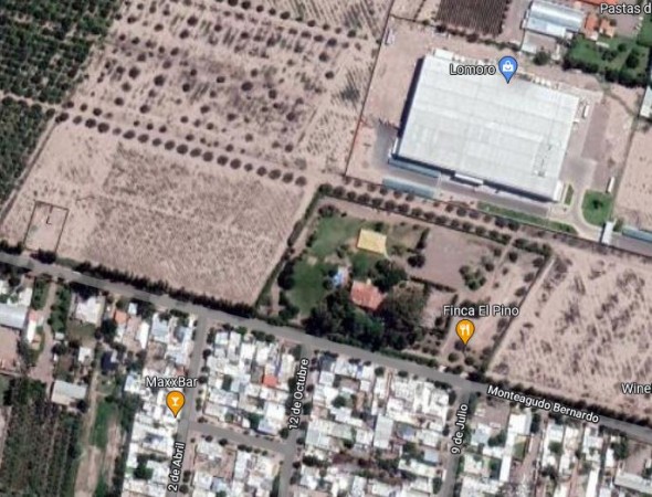 GREENWOOD VENDE LOTE DE GENEROSAS DIMENSIONES EN INMEJORABLE UBICACION, ZONA CAMINOS DEL VINO