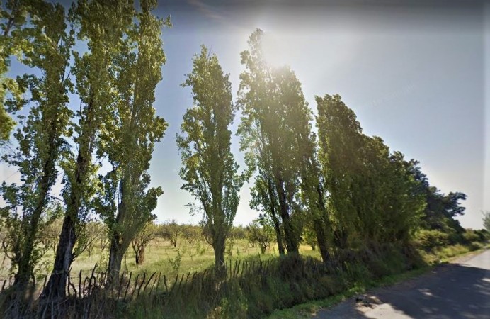 GREENWOOD VENDE LOTE DE GENEROSAS DIMENSIONES EN INMEJORABLE UBICACION, ZONA CAMINOS DEL VINO