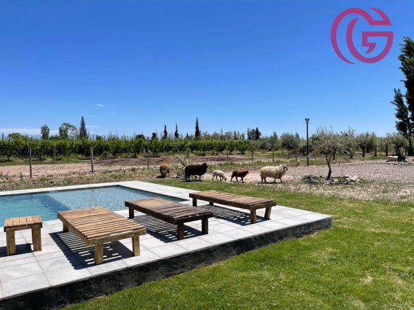 GREENWOOD INMOBILIARIA VENDE INCREIBLE COMPLEJO TURISTICO EN MAIPU