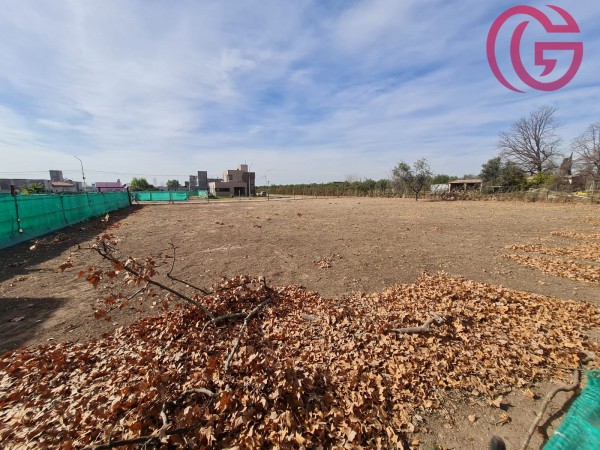 GREENWOOD VENDE LOTES CON EXCELENTE UBICACION