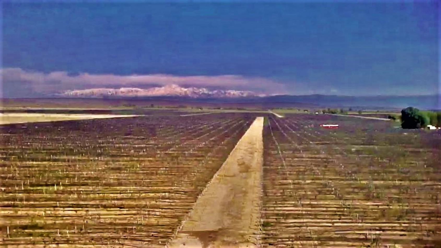 GREENWOOD VENDE INIGUALABLE VINEDO EN LUJAN DE CUYO - BARRANCAS, CON UNA VISTA UNICA A LA CORDILLERA Y UNA PRODUCCION DE PRIMERA CALIDAD