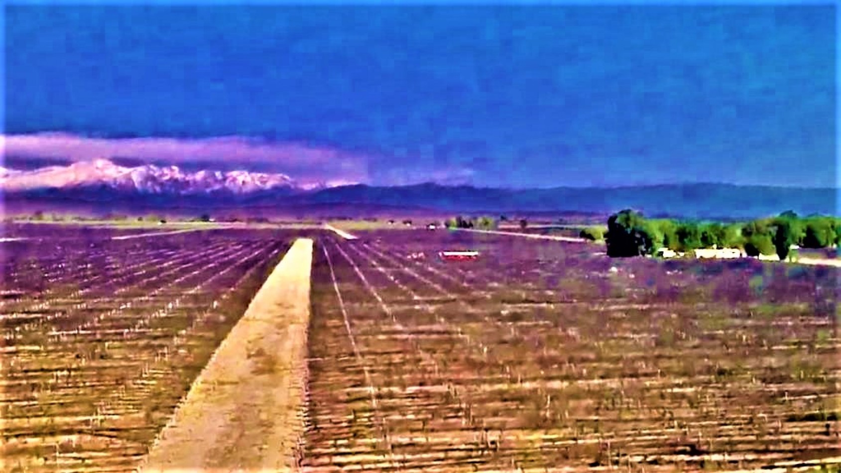GREENWOOD VENDE INIGUALABLE VINEDO EN LUJAN DE CUYO - BARRANCAS, CON UNA VISTA UNICA A LA CORDILLERA Y UNA PRODUCCION DE PRIMERA CALIDAD