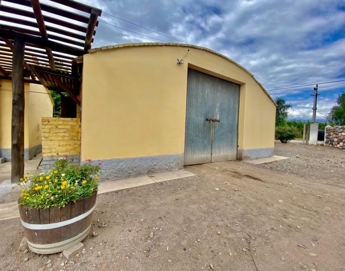 GREENWOOD VENDE FINCA DE ENSUENOS EN VISTA FLORES, UBICACION PRIVILEGIADA, CULTIVOS, AGUA Y ENTORNO UNICO