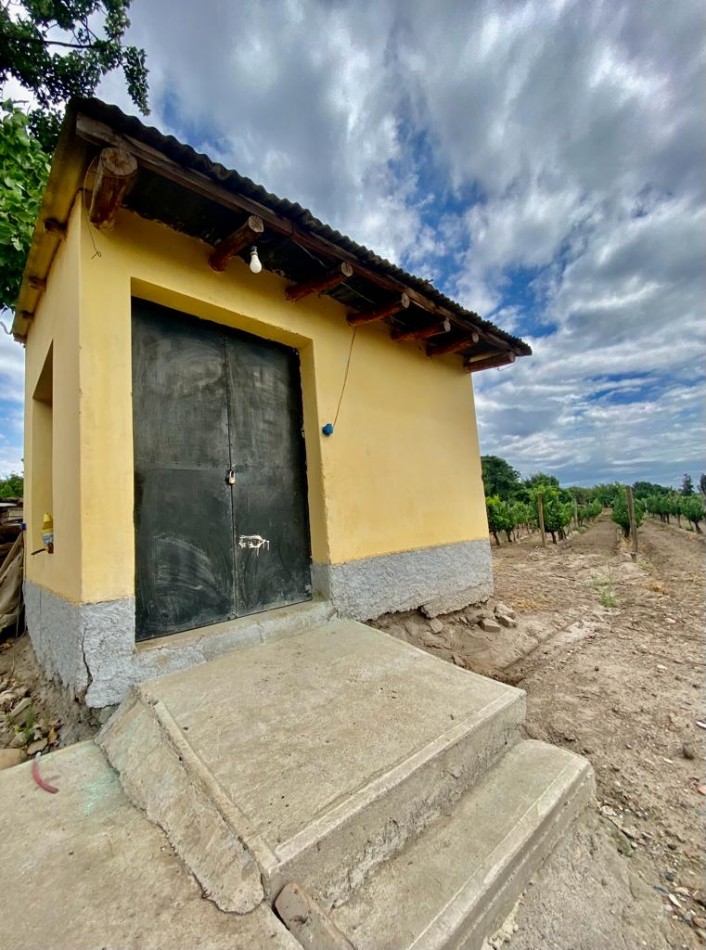 GREENWOOD VENDE FINCA DE ENSUENOS EN VISTA FLORES, UBICACION PRIVILEGIADA, CULTIVOS, AGUA Y ENTORNO UNICO
