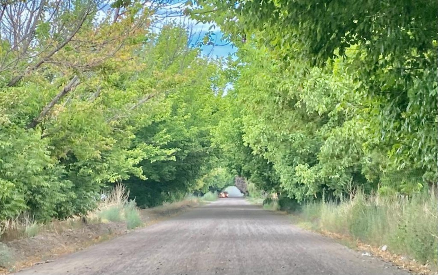 GREENWOOD VENDE FINCA DE ENSUENOS EN VISTA FLORES, UBICACION PRIVILEGIADA, CULTIVOS, AGUA Y ENTORNO UNICO