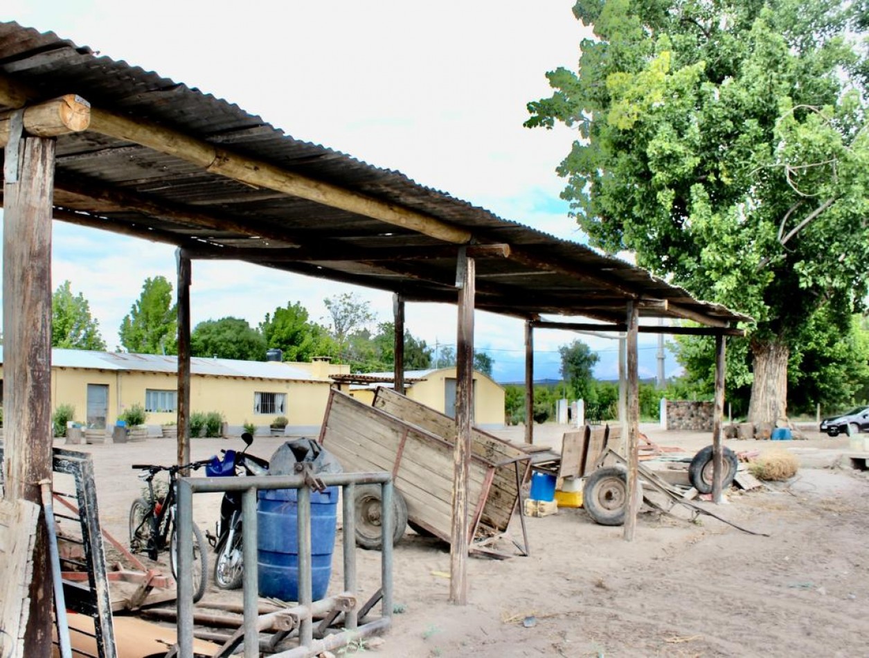 GREENWOOD VENDE FINCA DE ENSUENOS EN VISTA FLORES, UBICACION PRIVILEGIADA, CULTIVOS, AGUA Y ENTORNO UNICO