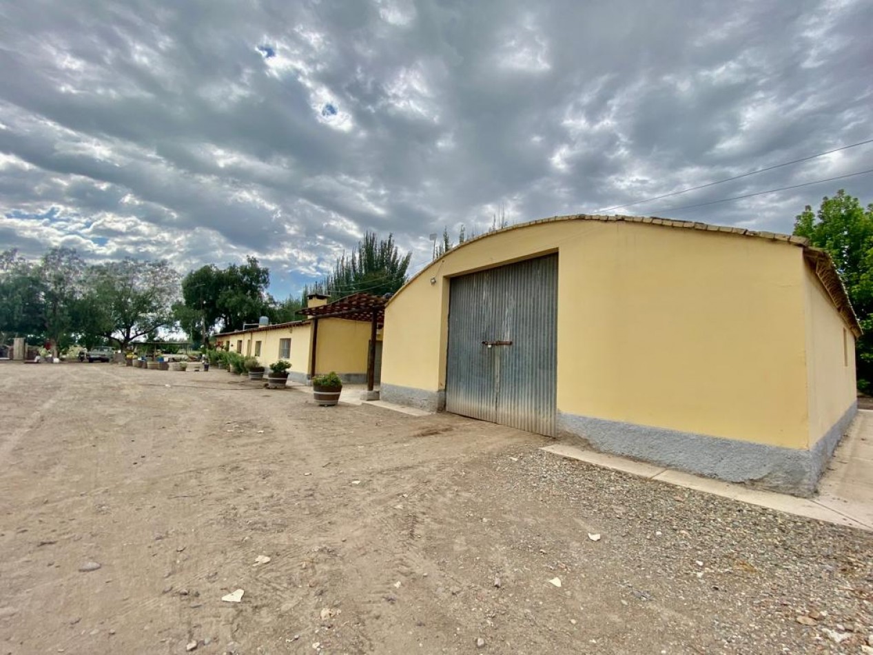 GREENWOOD VENDE FINCA DE ENSUENOS EN VISTA FLORES, UBICACION PRIVILEGIADA, CULTIVOS, AGUA Y ENTORNO UNICO