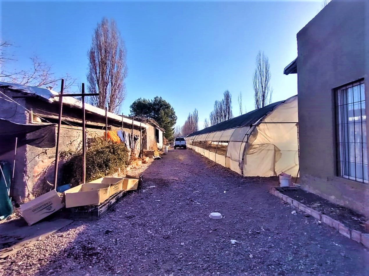 GREENWOOD VENDE VIVERO CON AMPLIO TERRENO, POSEE UN SALON COMEDOR DE GRAN DIMENSION, CASA, GALPON Y INVERNADERO, UBICADO EN LUJAN DE CUYO