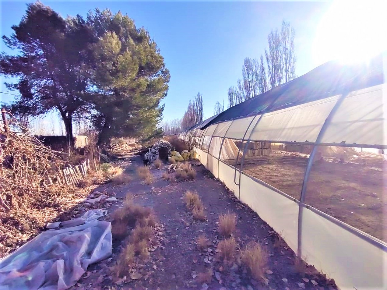 GREENWOOD VENDE VIVERO CON AMPLIO TERRENO, POSEE UN SALON COMEDOR DE GRAN DIMENSION, CASA, GALPON Y INVERNADERO, UBICADO EN LUJAN DE CUYO
