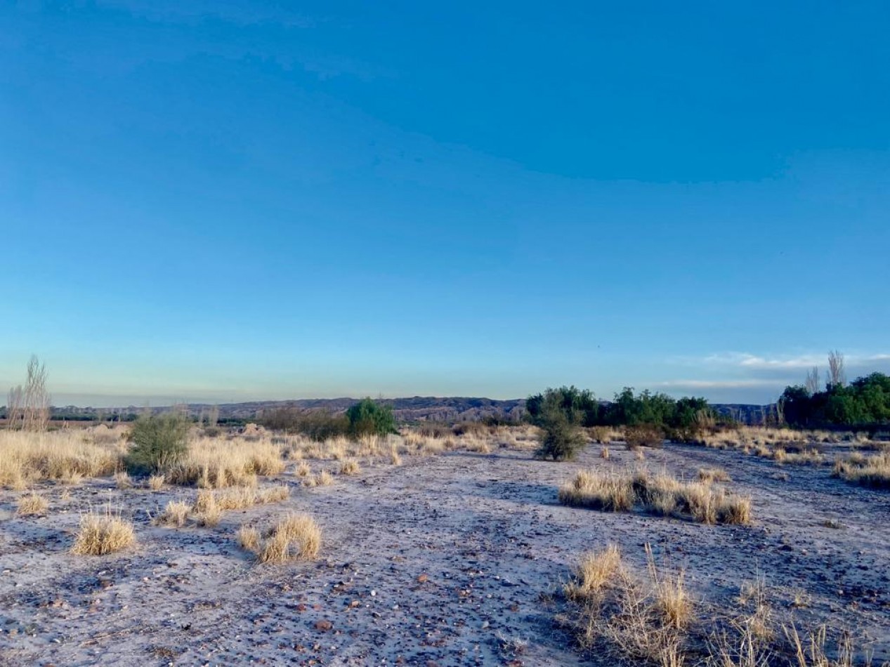 GREENWOOD VENDE FINCA CON EXCELENTE UBICACION, IDEAL EMPRENDIMIENTOS TURISTICOS ENOLOGICOS