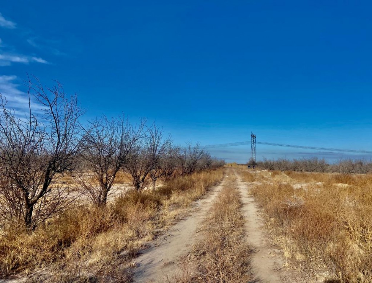 GREENWOOD VENDE CAMPO EN PALMIRA IDEAL EMPRENDIMIENTOS