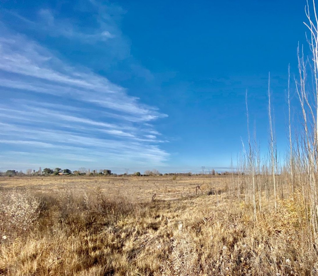 GREENWOOD VENDE CAMPO EN PALMIRA IDEAL EMPRENDIMIENTOS