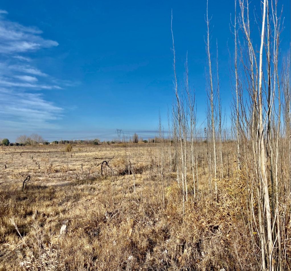 GREENWOOD VENDE CAMPO EN PALMIRA IDEAL EMPRENDIMIENTOS
