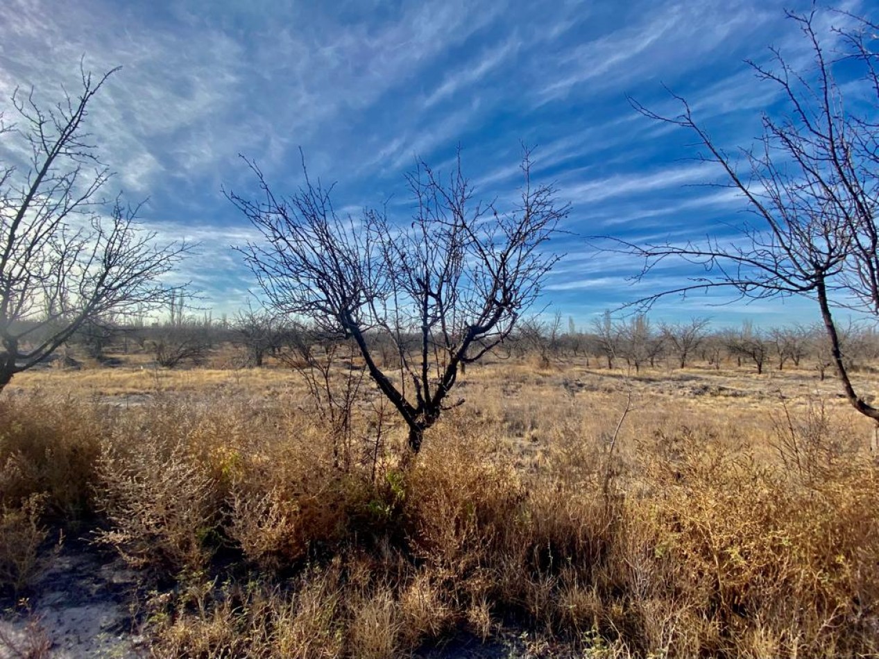 GREENWOOD VENDE CAMPO EN PALMIRA IDEAL EMPRENDIMIENTOS