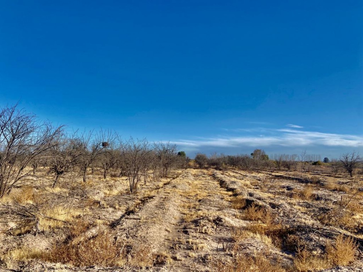 GREENWOOD VENDE CAMPO EN PALMIRA IDEAL EMPRENDIMIENTOS