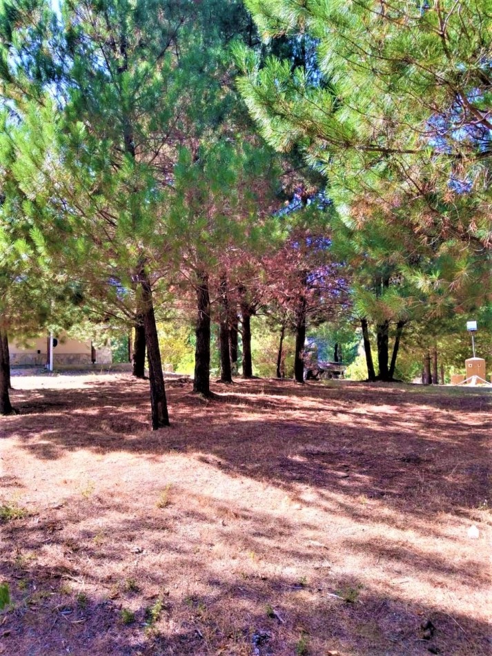 GREENWOOD VENDE LOTE UNICO EN LAGO PUELO EN EL INIGUALABLE BARRIO ALTOS GOLONDRINAS