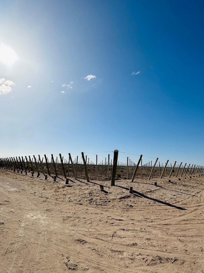 GREENWOOD VENDE EXCELENTE FINCA EN EL ESTE DE LA PROVINCIA FRENTE A RUTA 7
